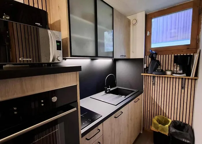 Le Chardonnet - A Deux Pas Du Centre Station Mae-9164 *