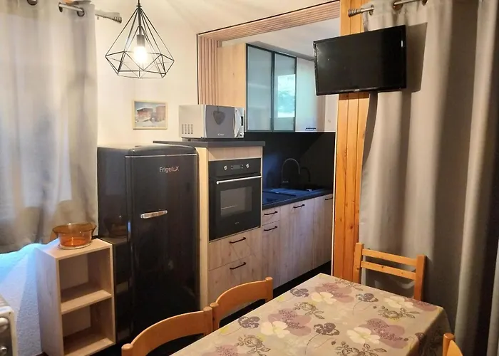 Le Chardonnet - A Deux Pas Du Centre Station Mae-9164 *